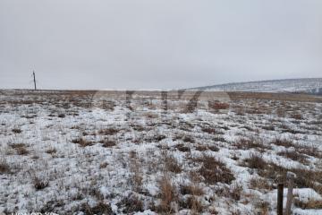 Фото №5: Земельный участок под ИЖС - Царицын, ул. Рубиновая