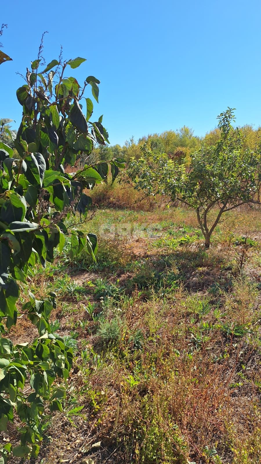 Фото №13: Дом 63 м² + 26 сот. - Вилтов, ул. Приозёрная