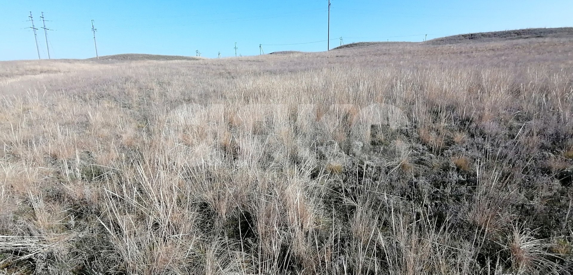 Фото №9: Личное подсобное хозяйство 7 сот. - Волгоградская область Городищенский район