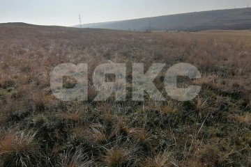 Фото №3: Личное подсобное хозяйство - Волгоградская область Городищенский район