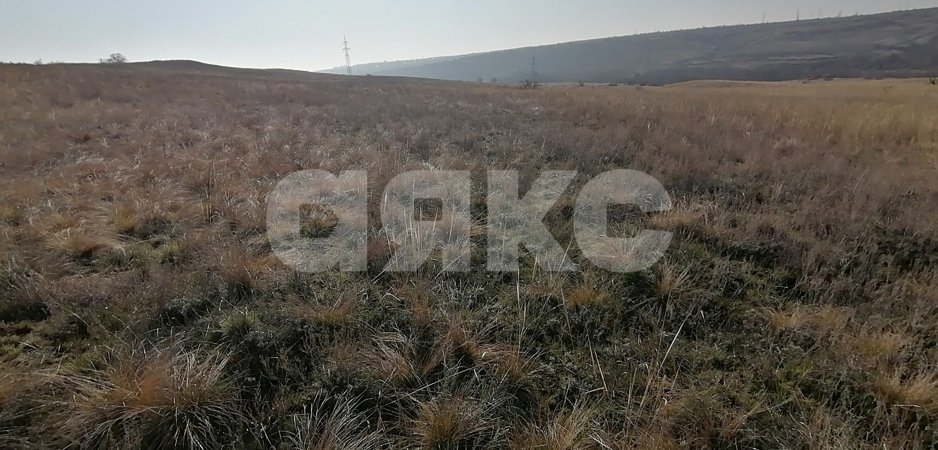 Фото №3: Личное подсобное хозяйство 7 сот. - Волгоградская область Городищенский район