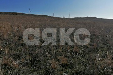 Фото №2: Личное подсобное хозяйство - Волгоградская область Городищенский район