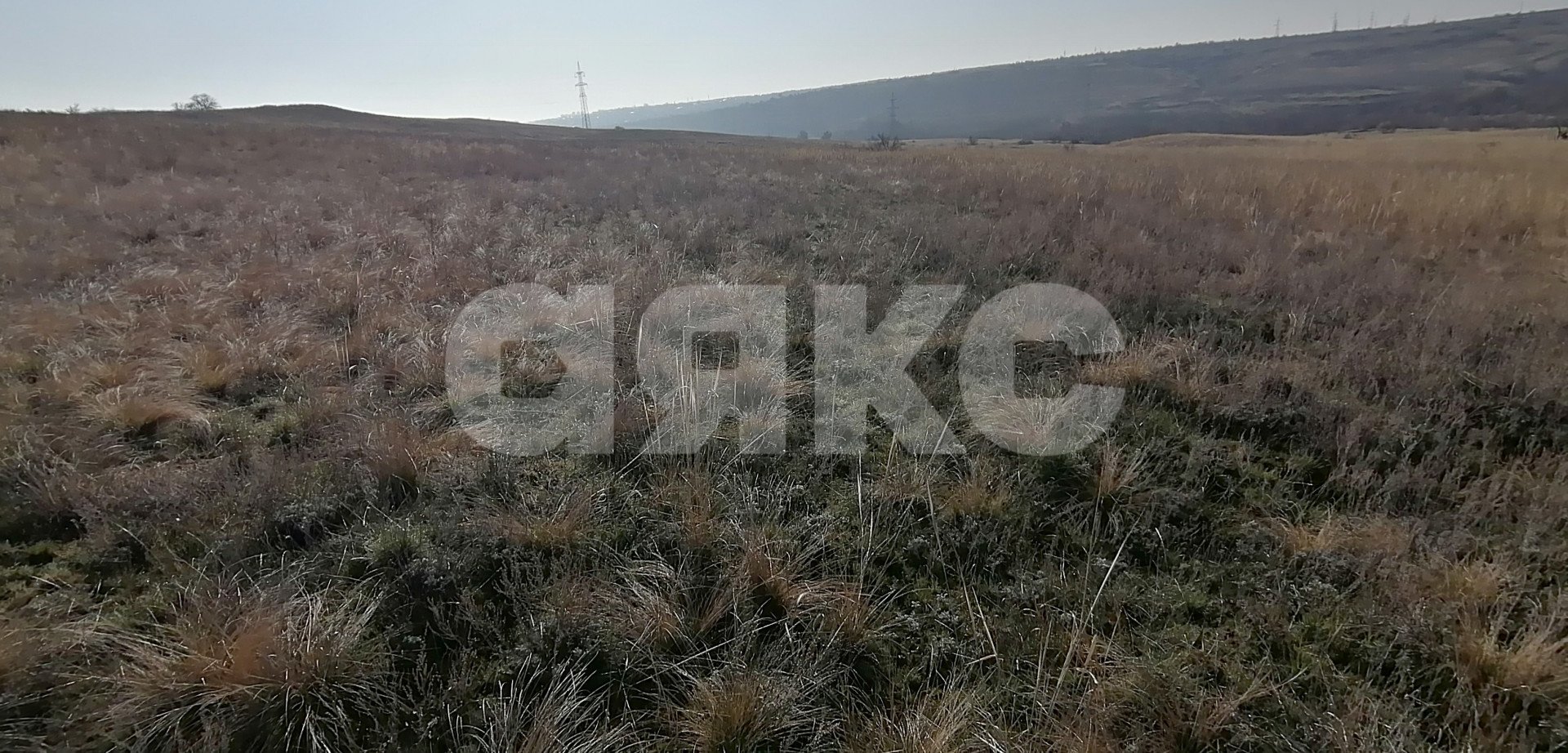 Фото №8: Личное подсобное хозяйство 7 сот. - Волгоградская область Городищенский район