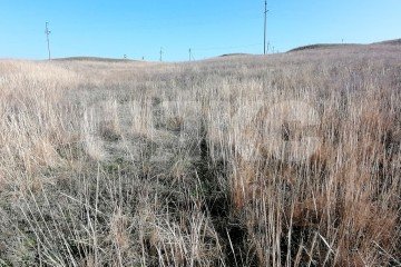 Фото №5: Личное подсобное хозяйство - Волгоградская область Городищенский район