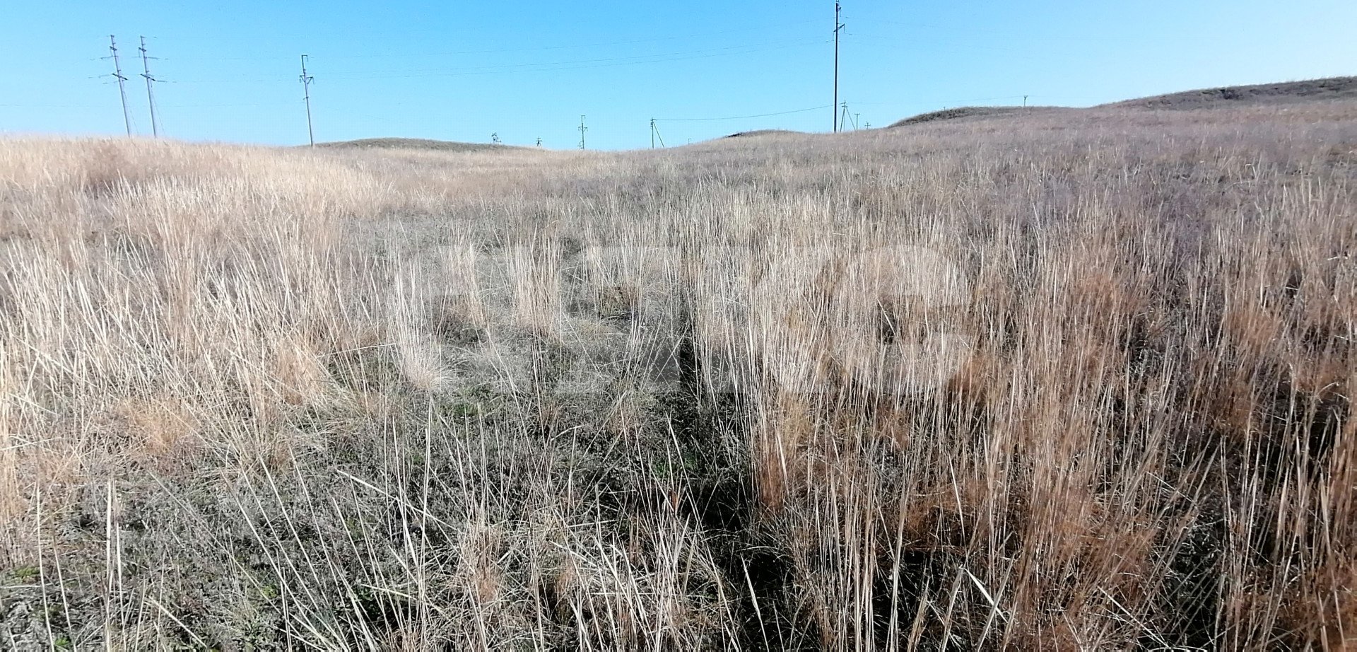 Фото №5: Личное подсобное хозяйство 7 сот. - Волгоградская область Городищенский район