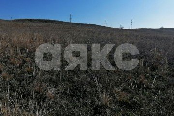 Фото №1: Личное подсобное хозяйство - Волгоградская область Городищенский район