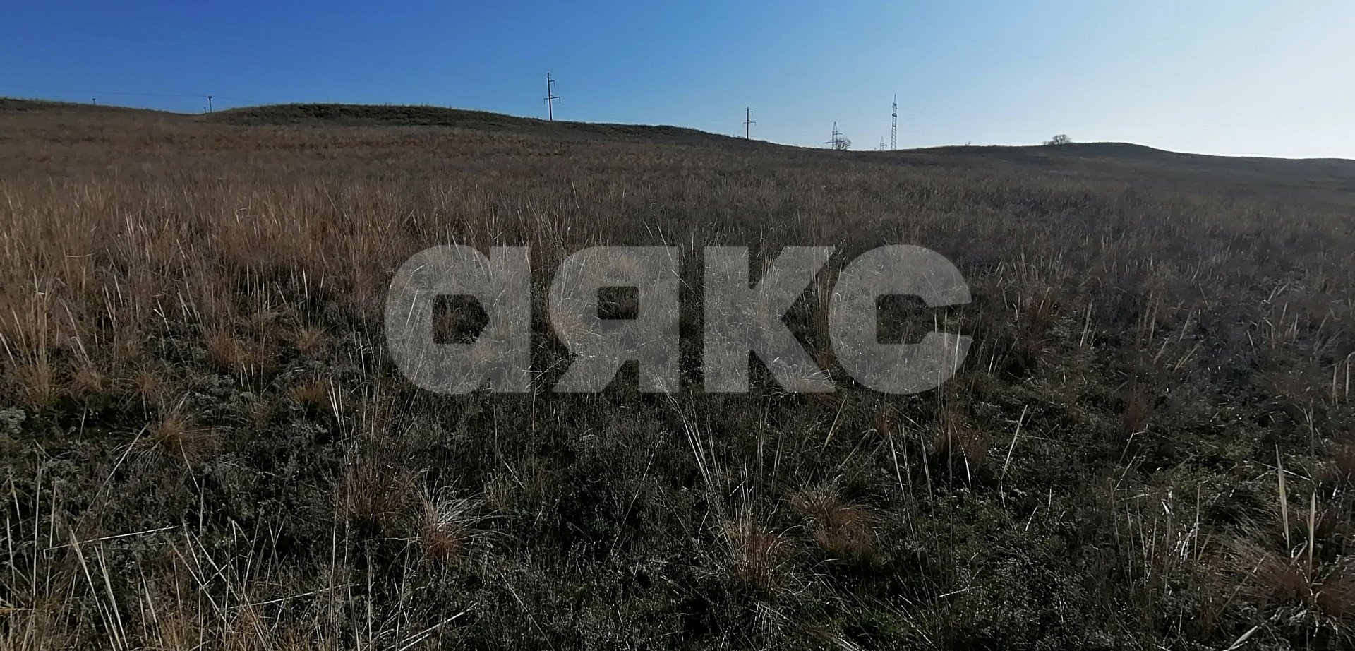 Фото №4: Личное подсобное хозяйство 7 сот. - Волгоградская область Городищенский район