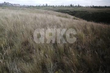 Фото №5: Участок садоводство - Царицын, снт Диана, ул. Кленовая, 34А