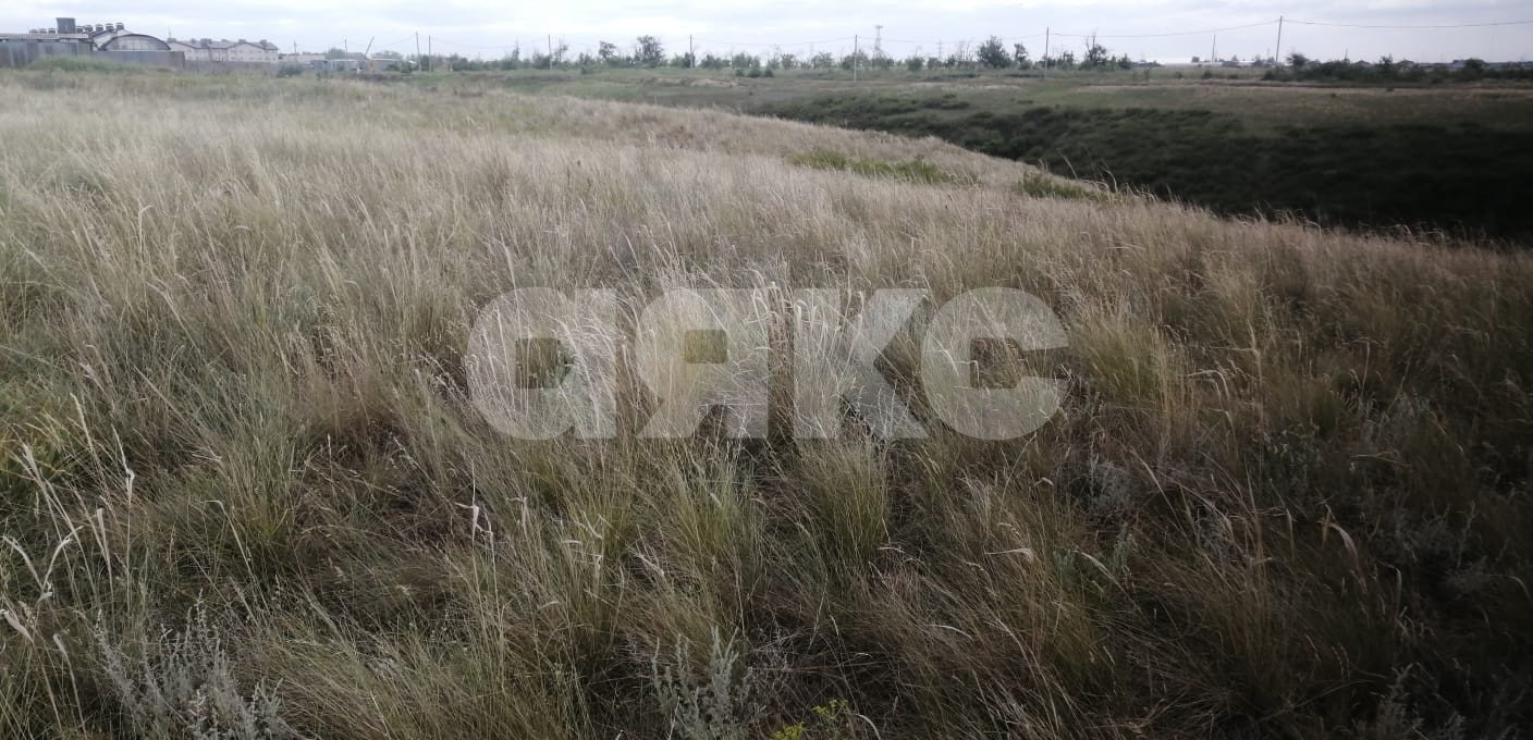 Фото №5: Участок садоводство 8 сот. - Царицын, снт Диана, ул. Кленовая, 34А