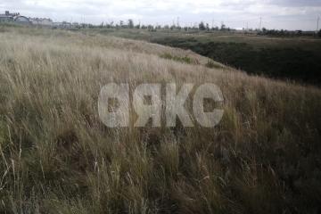 Фото №4: Участок садоводство - Царицын, снт Диана, ул. Кленовая, 34А