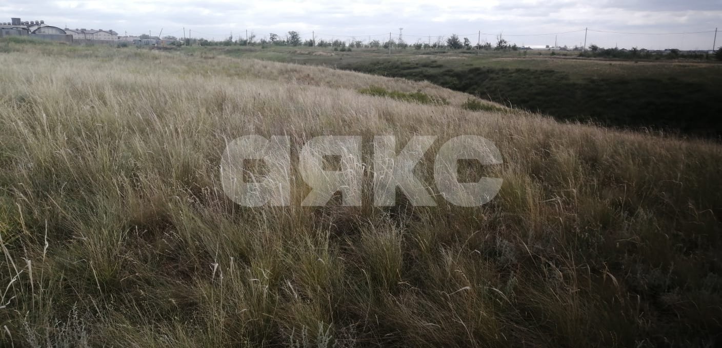 Фото №4: Участок садоводство 8 сот. - Царицын, снт Диана, ул. Кленовая, 34А