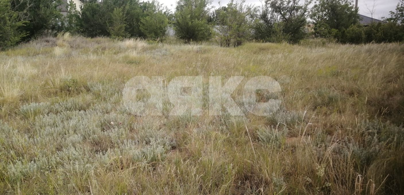 Фото №8: Участок садоводство 8 сот. - Царицын, снт Диана, ул. Кленовая, 34А