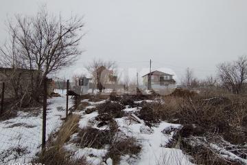 Фото №3: Участок садоводство - Царицын, снт Диана, ул. Кленовая, 34А