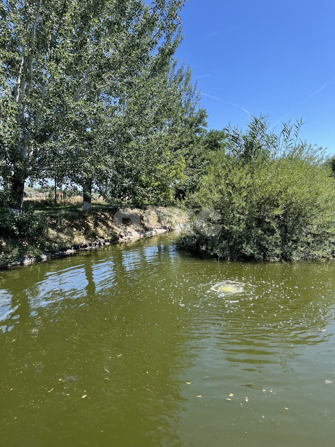 Фото №20: Коттедж 270 м² + 10.61 сот. - ДНП Владимирская Слобода, ул. Московская