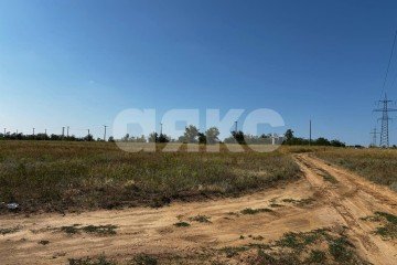 Фото №3: Участок садоводство - Царицын, снт Соловьиная Роща, ул. Берёзовая, 33