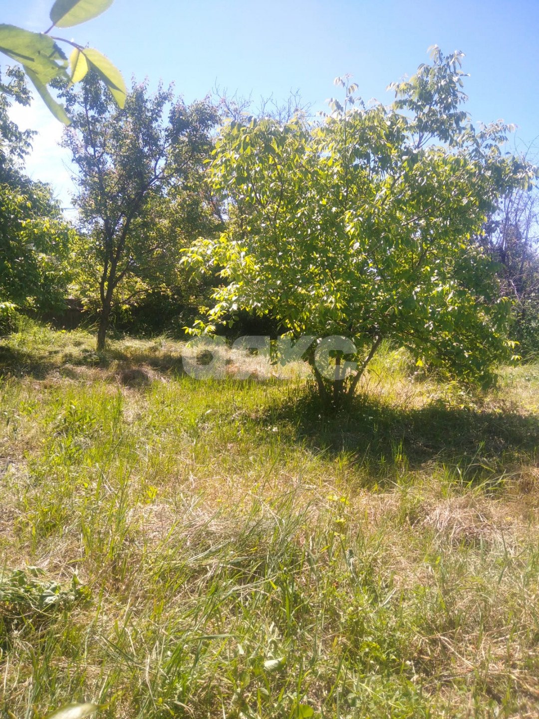 Фото №12: Дача 40 м² + 6 сот. - СНТ Строитель, мкр. массив 1, ул. 1-я Продольная