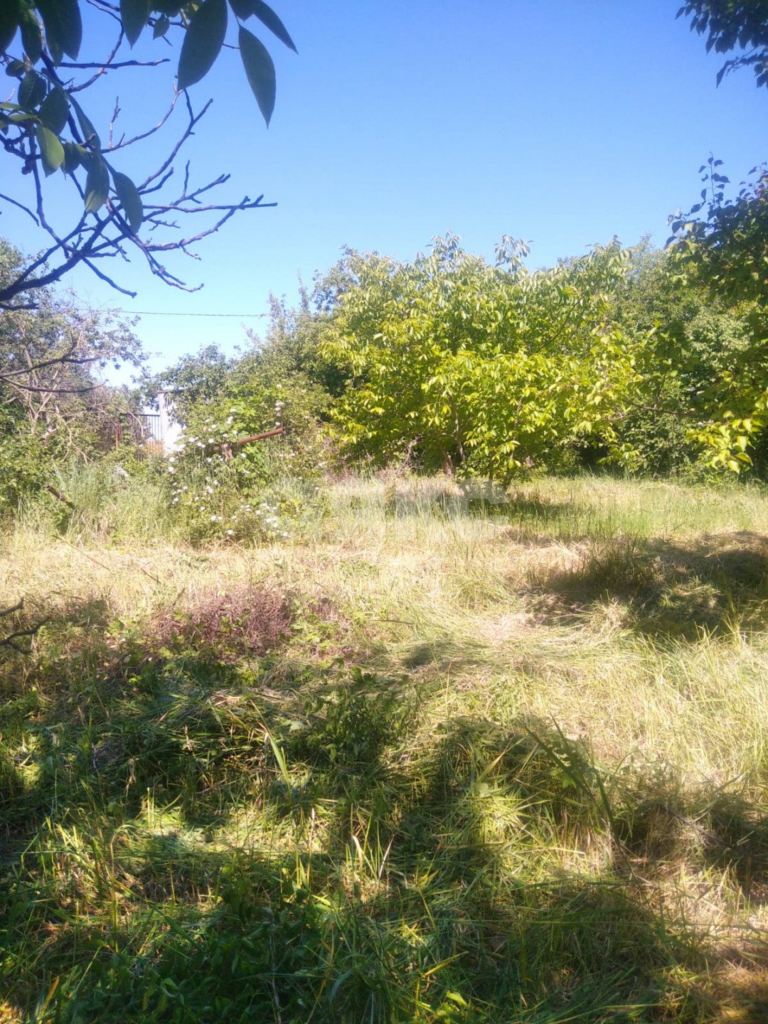 Фото №9: Дача 40 м² + 6 сот. - СНТ Строитель, мкр. массив 1, ул. 1-я Продольная