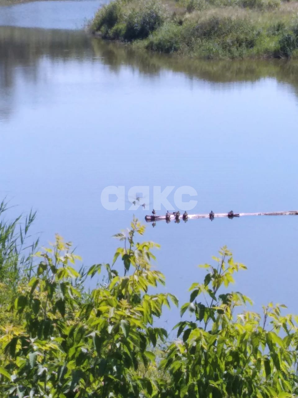 Фото №16: Дача 40 м² + 6 сот. - СНТ Строитель, мкр. массив 1, ул. 1-я Продольная