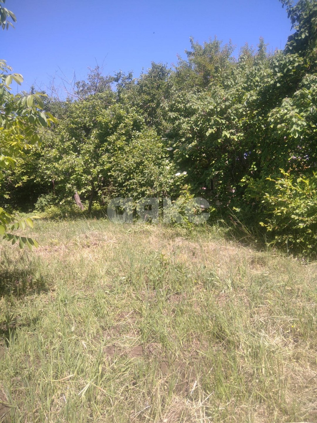 Фото №10: Дача 40 м² + 6 сот. - СНТ Строитель, мкр. массив 1, ул. 1-я Продольная