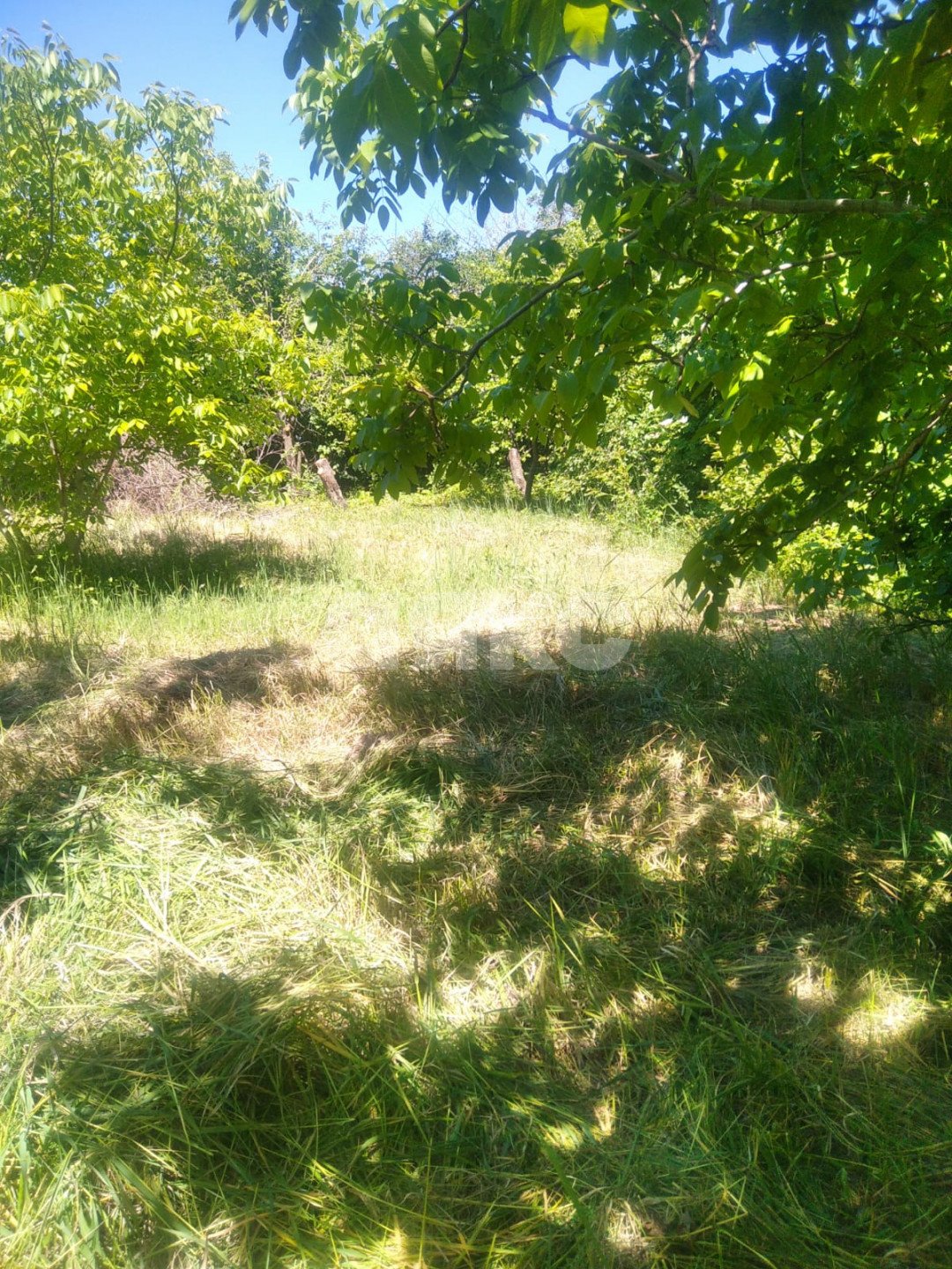 Фото №7: Дача 40 м² + 6 сот. - СНТ Строитель, мкр. массив 1, ул. 1-я Продольная