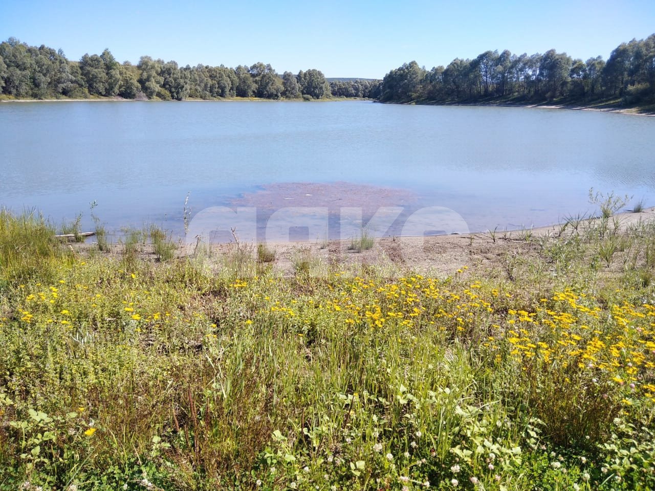 Фото №17: Дача 40 м² + 6 сот. - СНТ Строитель, мкр. массив 1, ул. 1-я Продольная