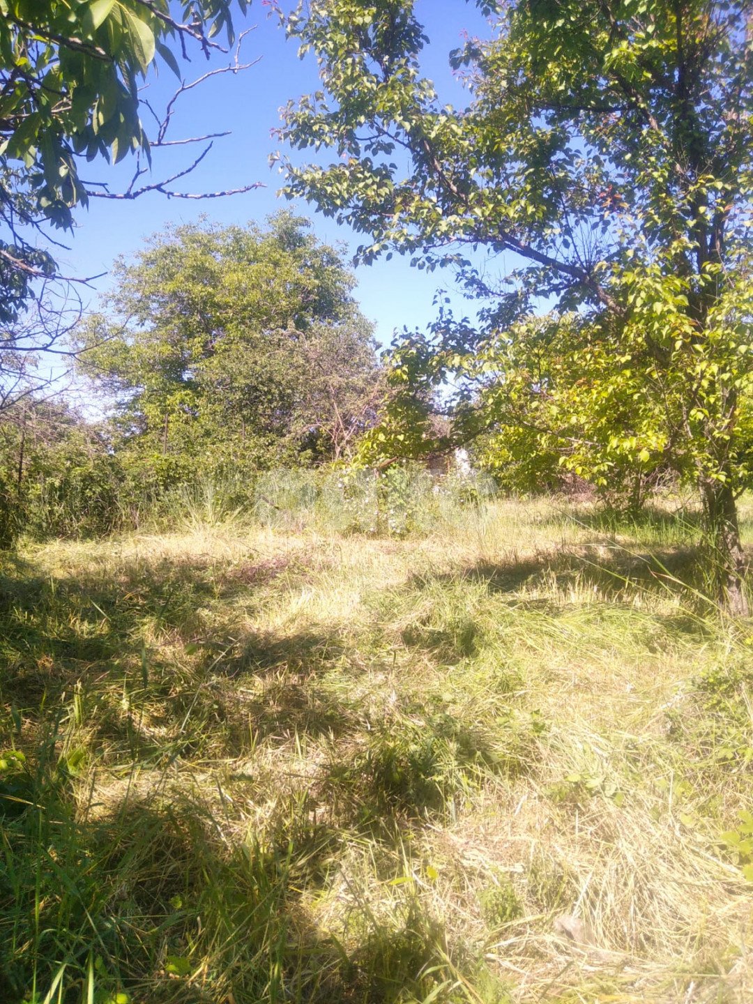 Фото №11: Дача 40 м² + 6 сот. - СНТ Строитель, мкр. массив 1, ул. 1-я Продольная