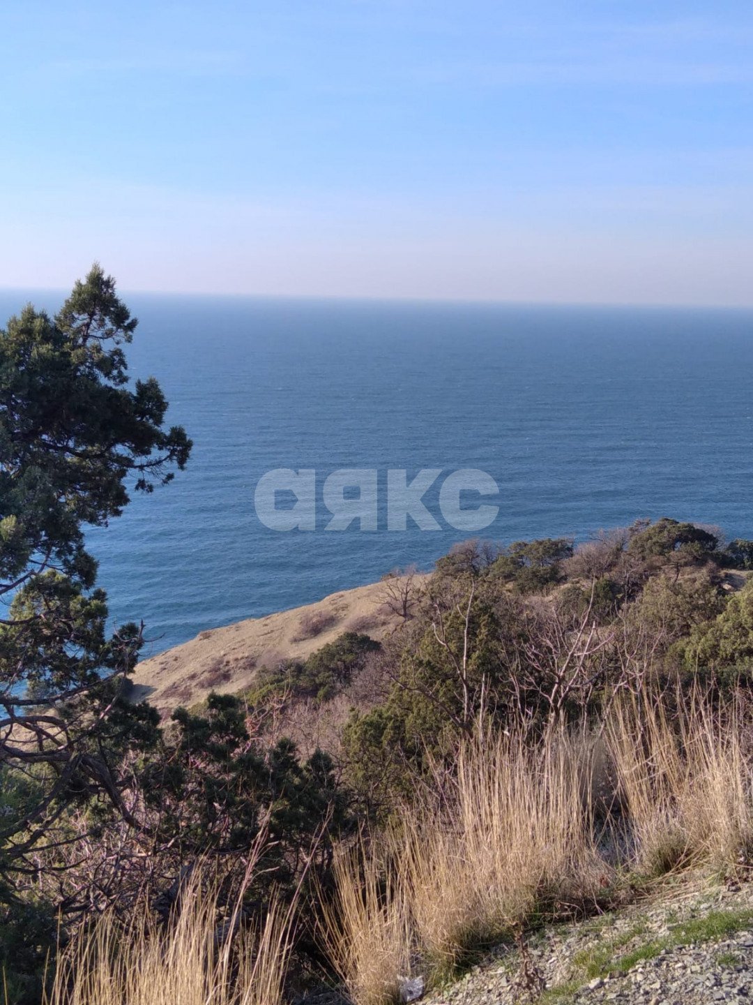 Фото №15: Дача 40 м² + 6 сот. - СНТ Строитель, мкр. массив 1, ул. 1-я Продольная