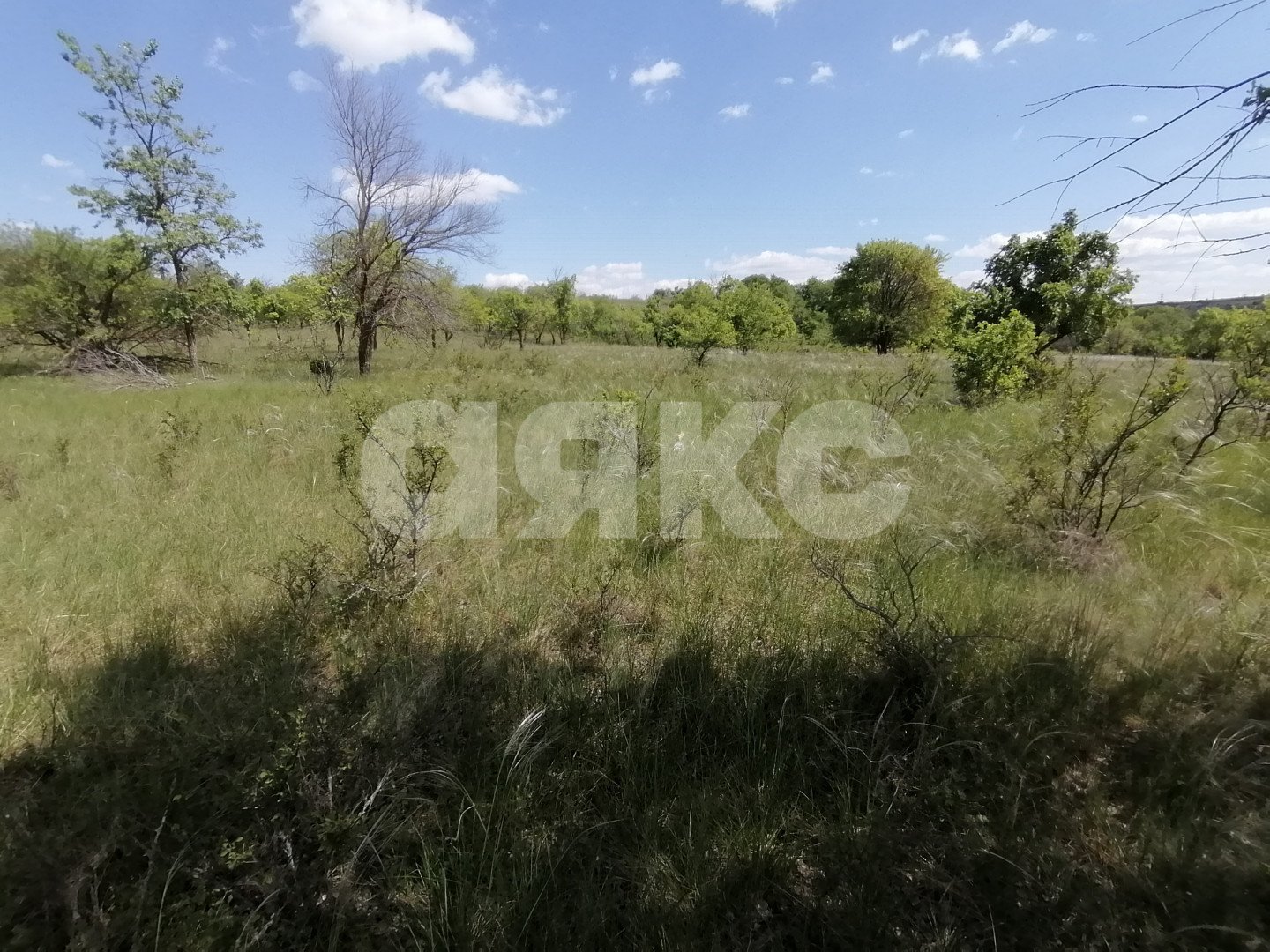 Фото №7: Участок садоводство 10 сот. - Царицын, днт Царицынское