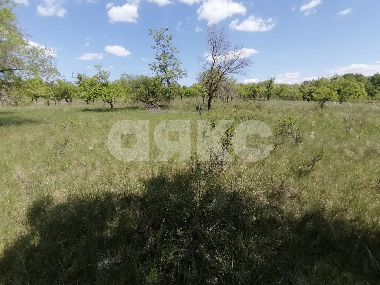 Фото №6: Участок садоводство 10 сот. - Царицын, днт Царицынское