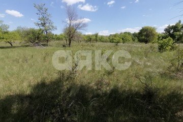 Фото №5: Участок садоводство - Царицын, днт Царицынское, 