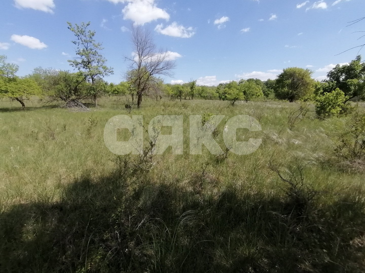 Фото №5: Участок садоводство 10 сот. - Царицын, днт Царицынское