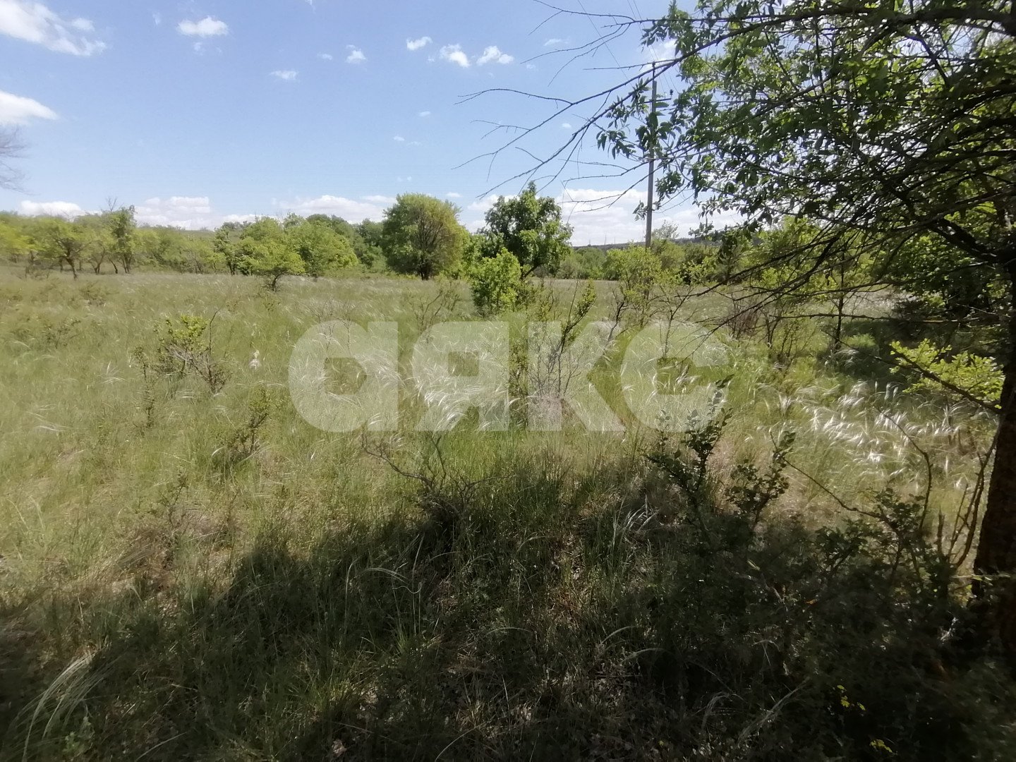 Фото №9: Участок садоводство 10 сот. - Царицын, днт Царицынское