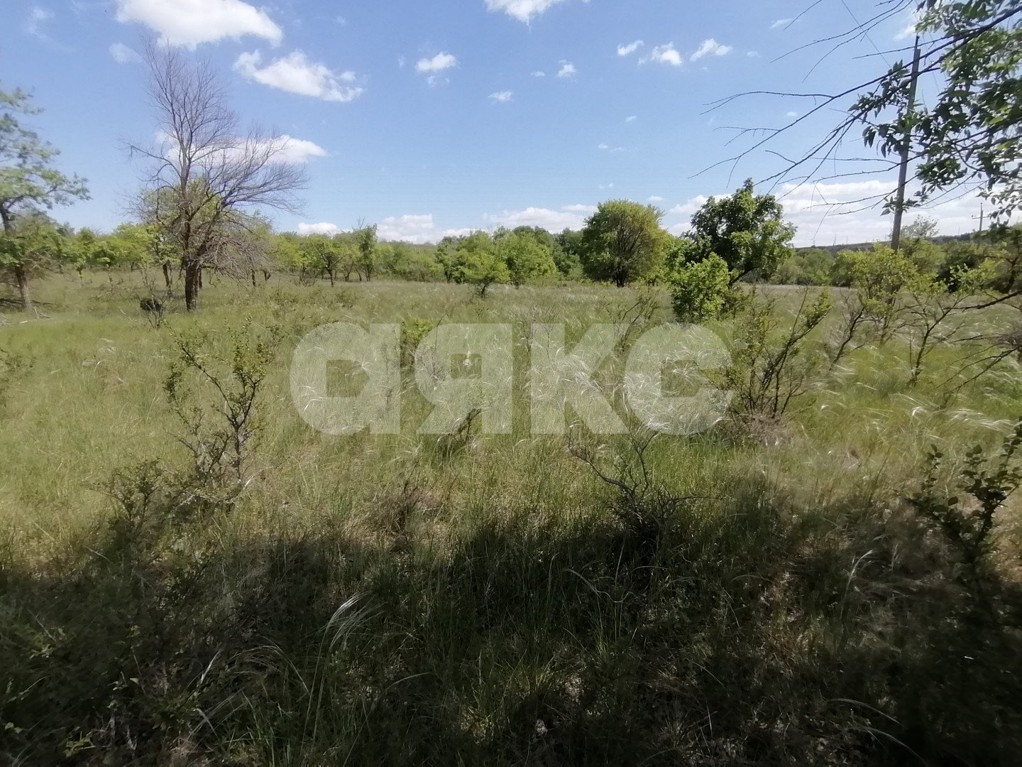 Фото №8: Участок садоводство 10 сот. - Царицын, днт Царицынское