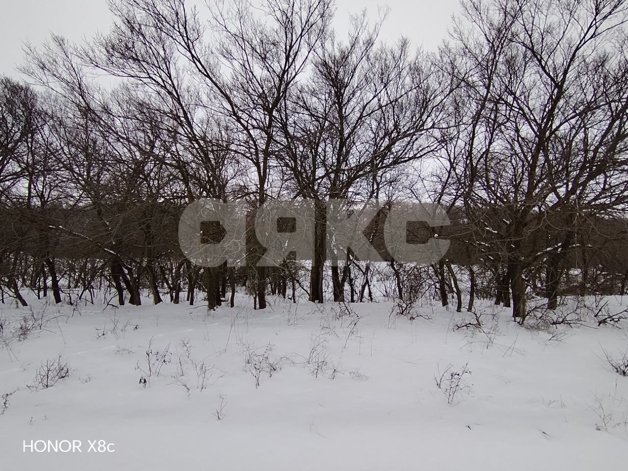 Фото №5: Участок садоводство 20 сот. - Царицын, днт Царицынское, ул. Каштановая, 4