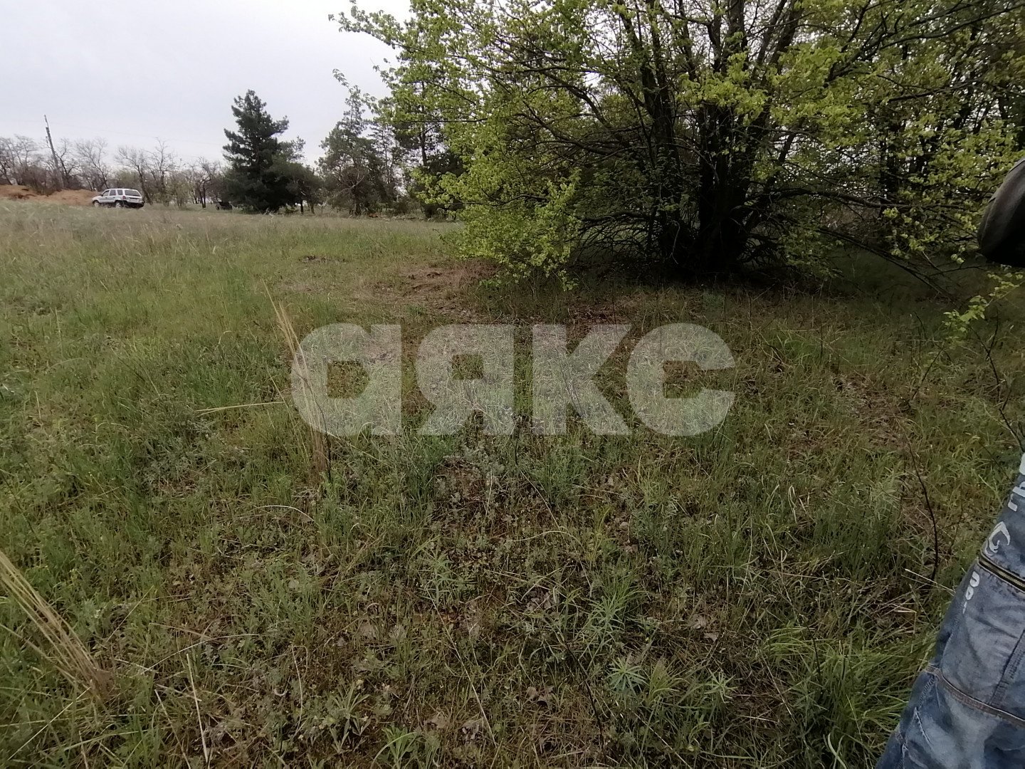 Фото №6: Земельный участок под ИЖС 15 сот. - Царицын, п. Микоян, ул. Сосновая