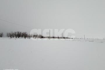 Фото №2: Участок садоводство - Царицын, мкр. садовые участки Микояновское, 